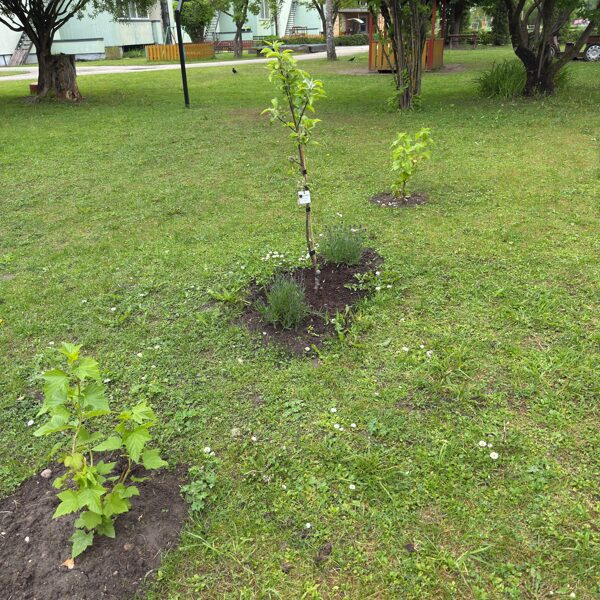 AUDZĒJAM, RŪPĒJAMIES, NOGARŠOJAM, DALĀMIES! ZĪLĪTES SILTUMNĪCA