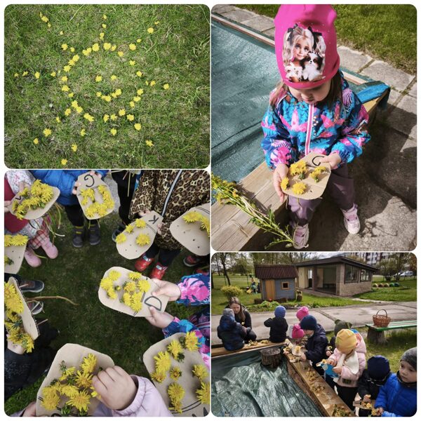 ĀRA IZGLĪTĪBAS DIENA