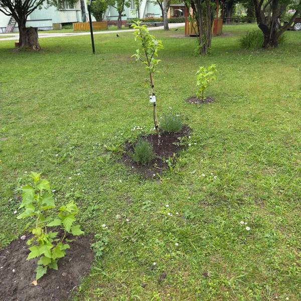 AUDZĒJAM, RŪPĒJAMIES, NOGARŠOJAM, DALĀMIES! ZĪLĪTES SILTUMNĪCA